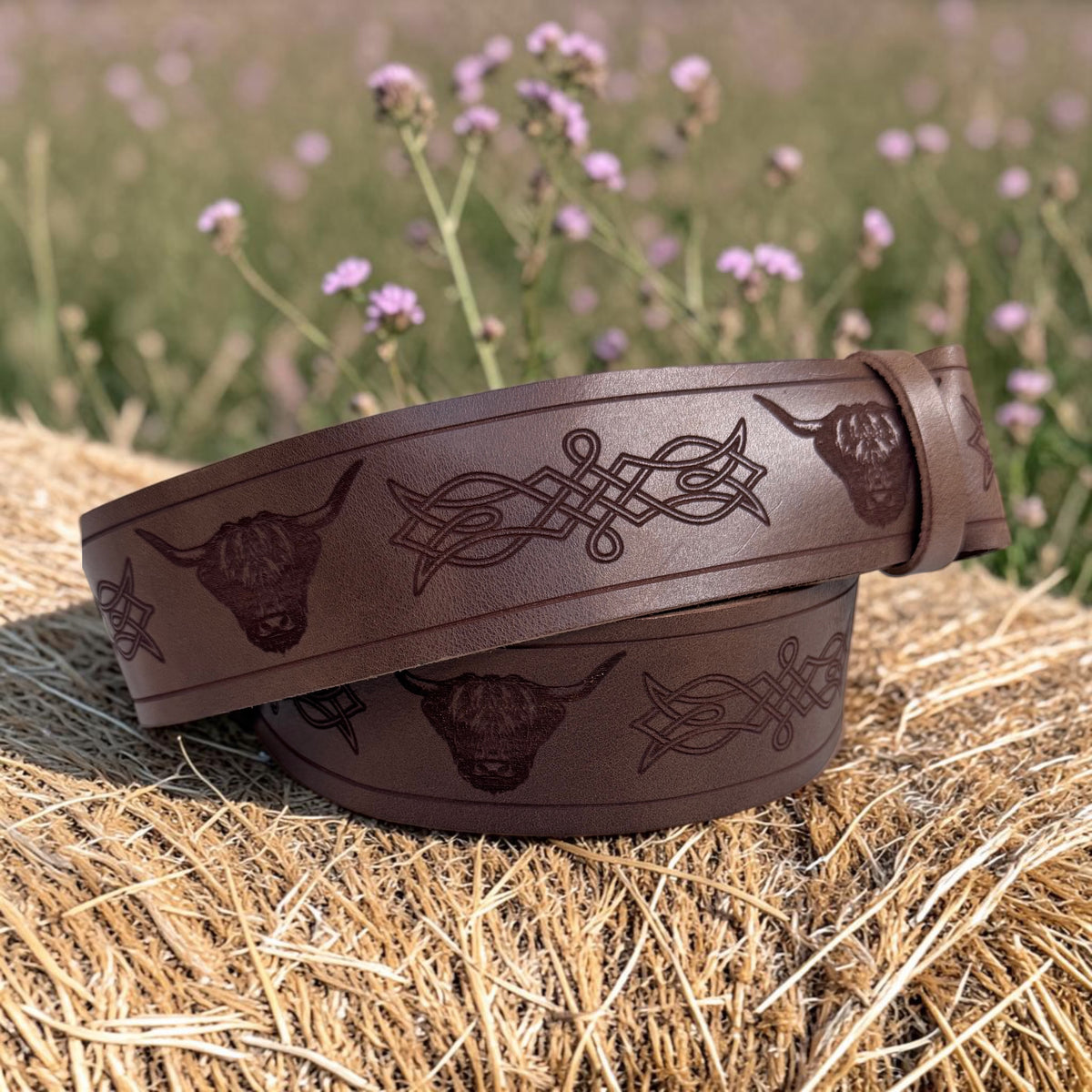 scottish kilt belt highland cow