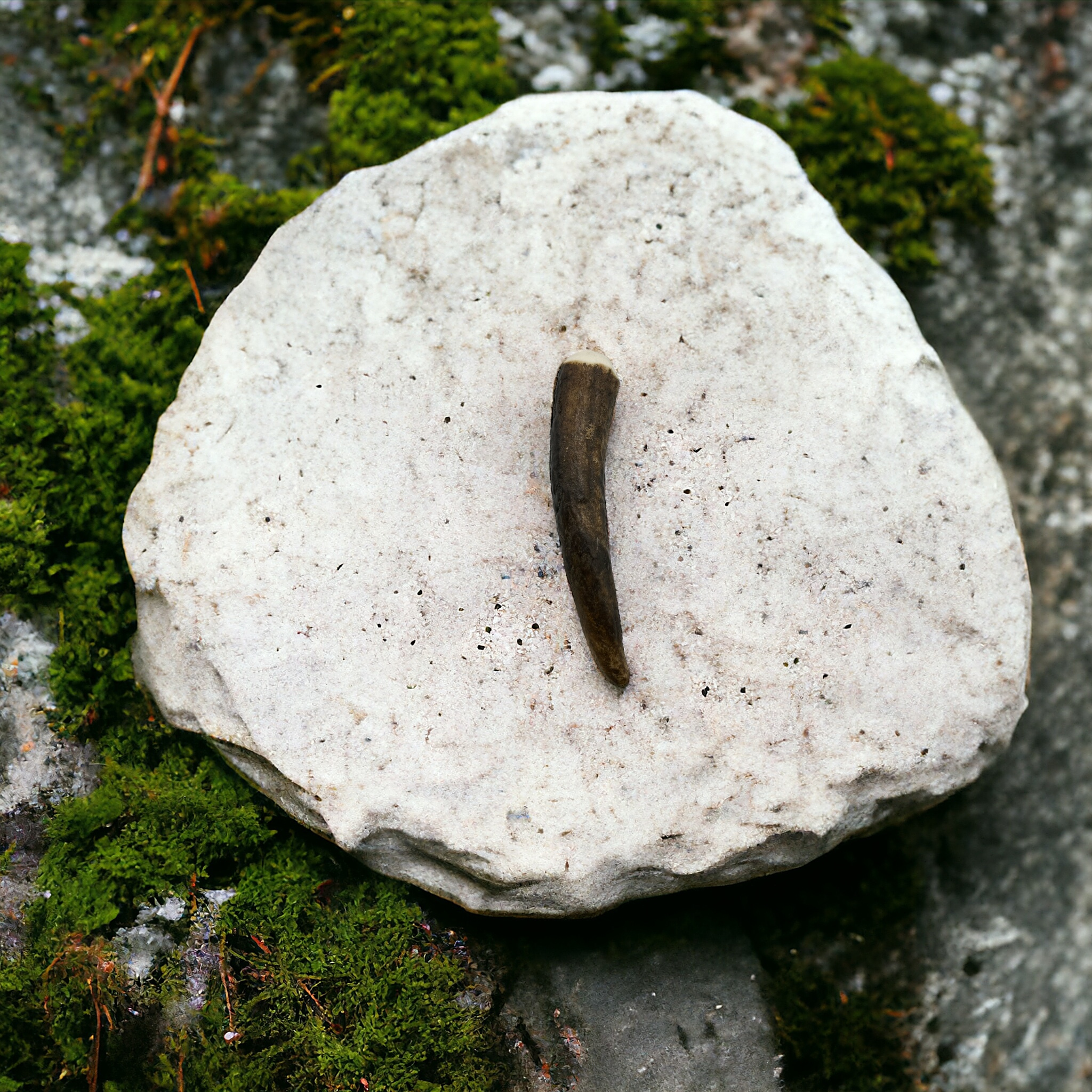 Stag Horn Kilt Pin