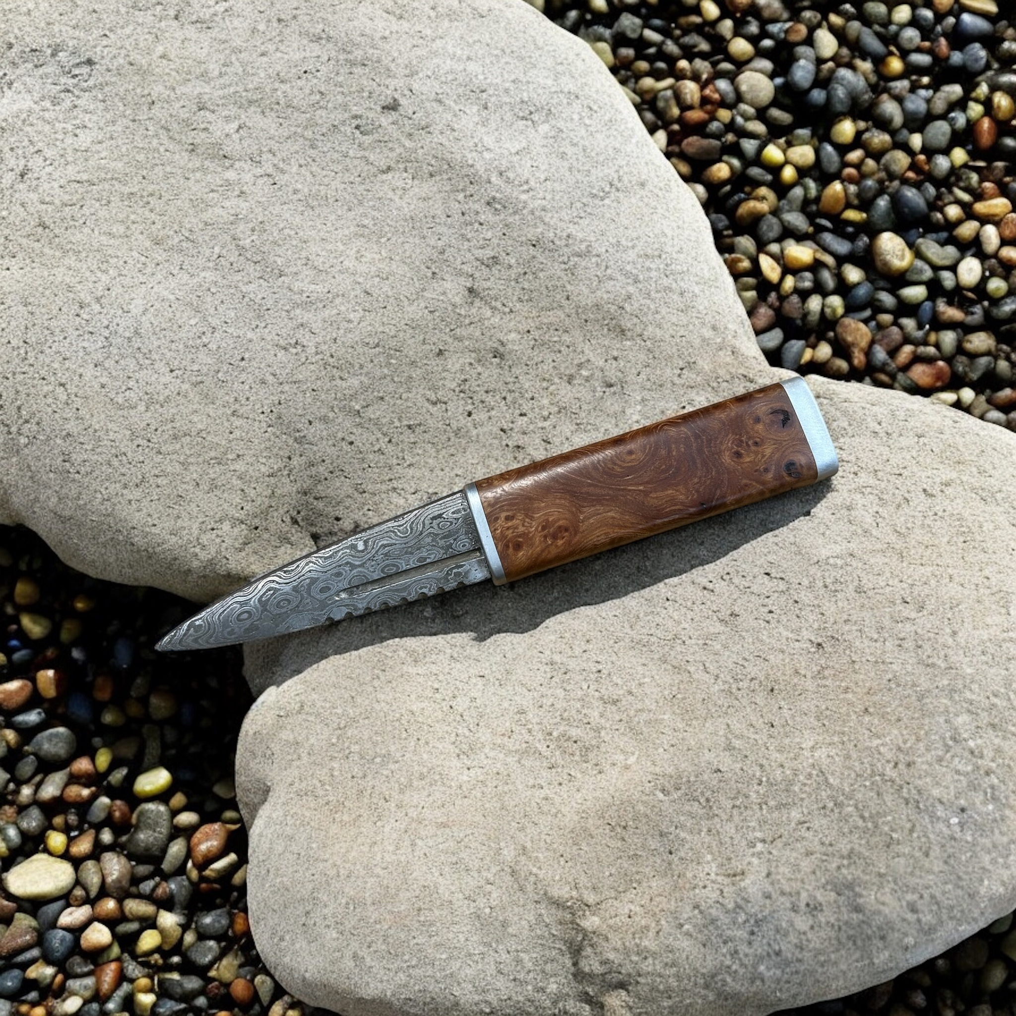 Antique Elmburr Elm Wood Sgian Dubh