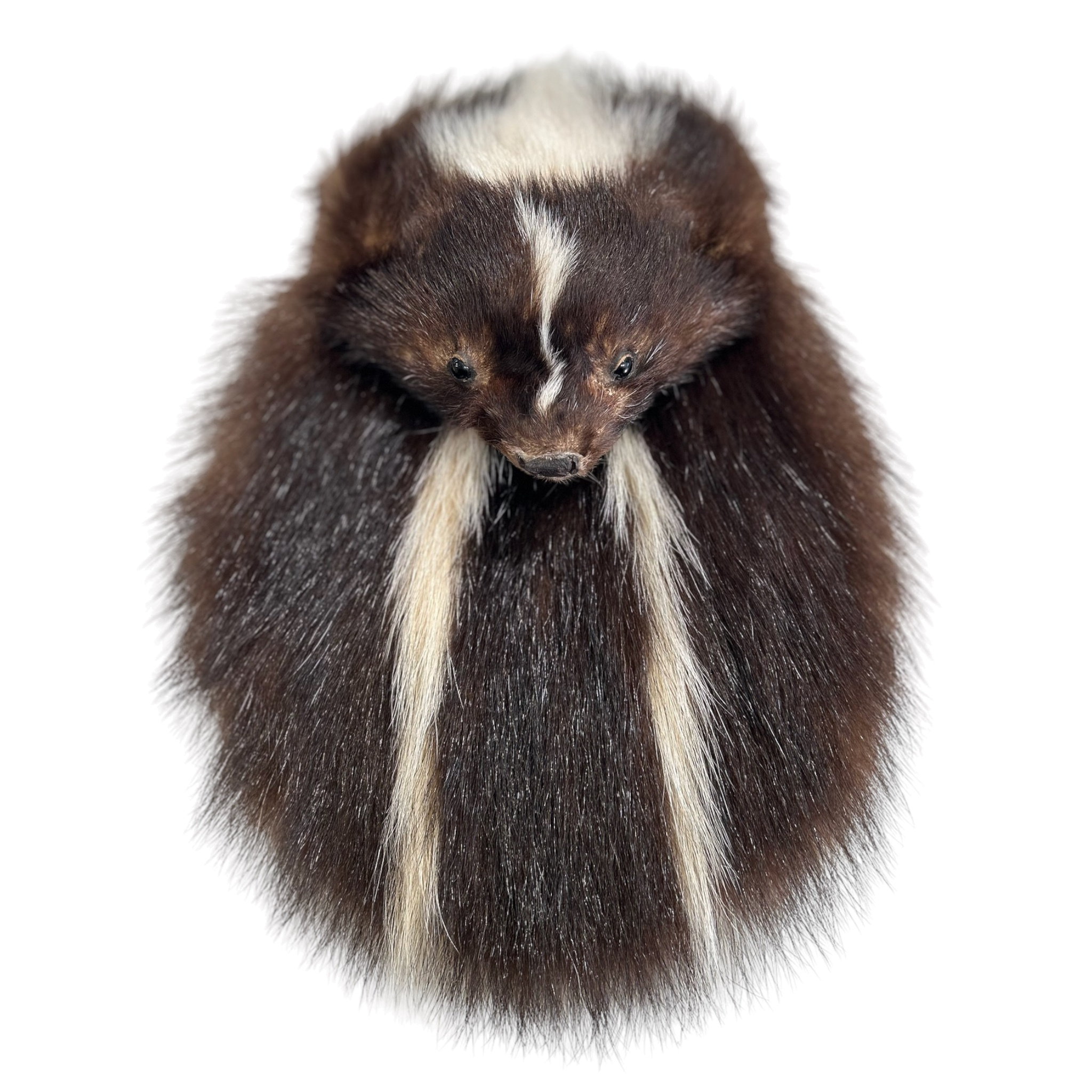 Skunk Head Sporran