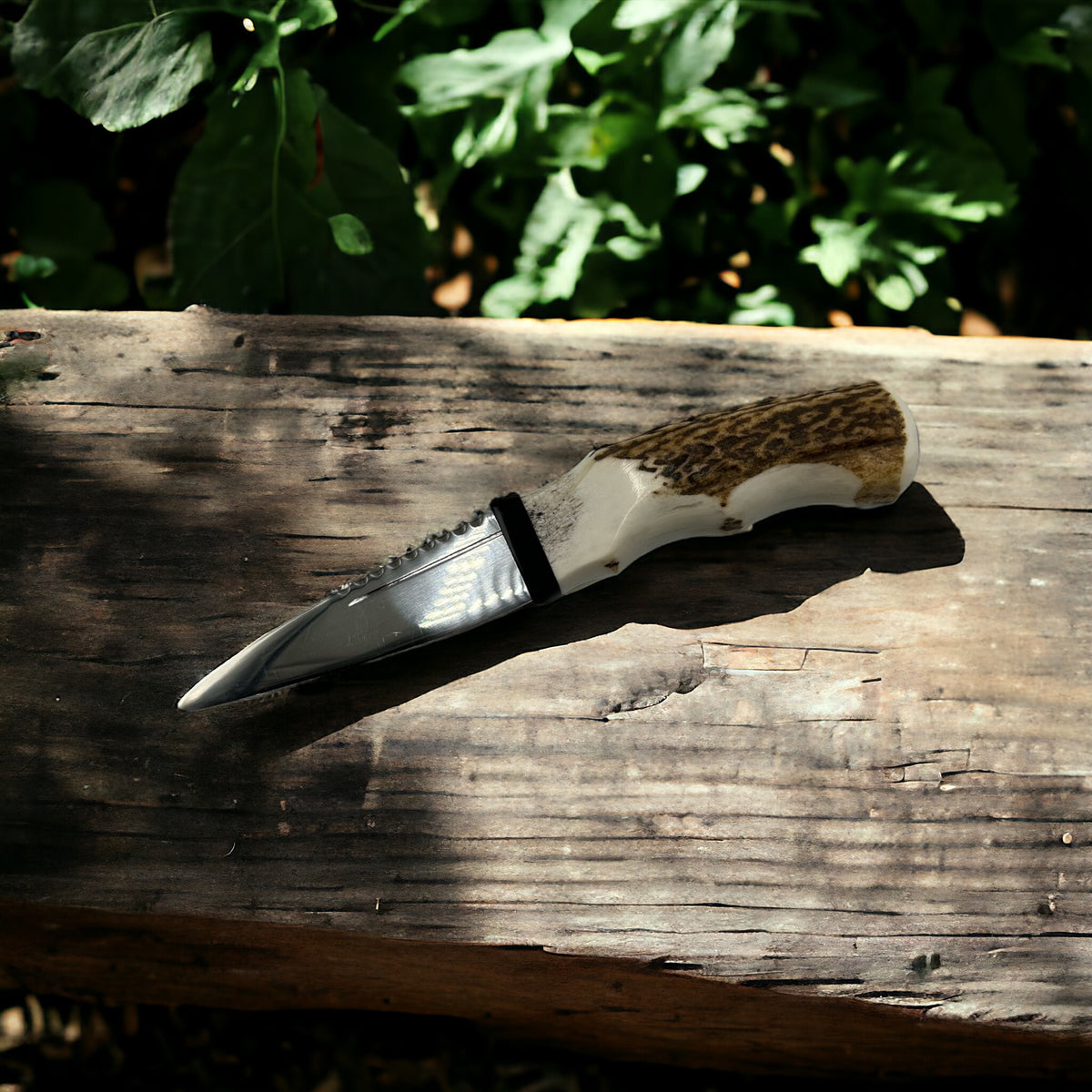 Stag Horn Sgian Dubh | Margaret Morrison Ltd.